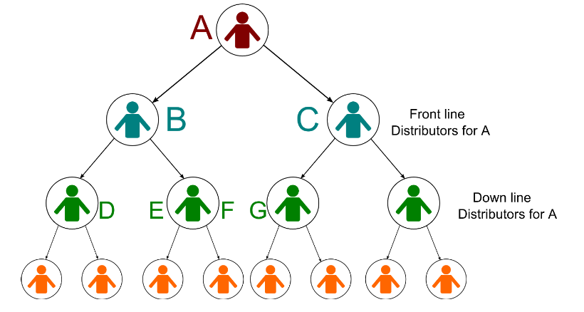 What is a Binary MLM Plan and How Does Binary Plan Work?