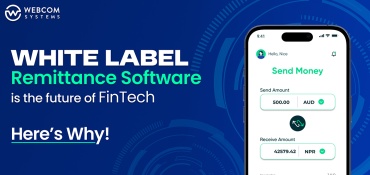 White Label Remittance Software is the Future of FinTech